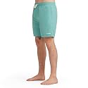 Dakine Cruiser Boardshorts