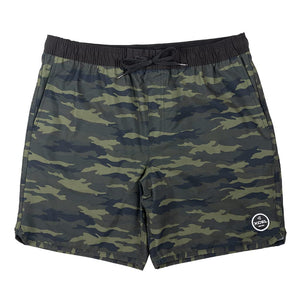 Tiger Shark/Grey