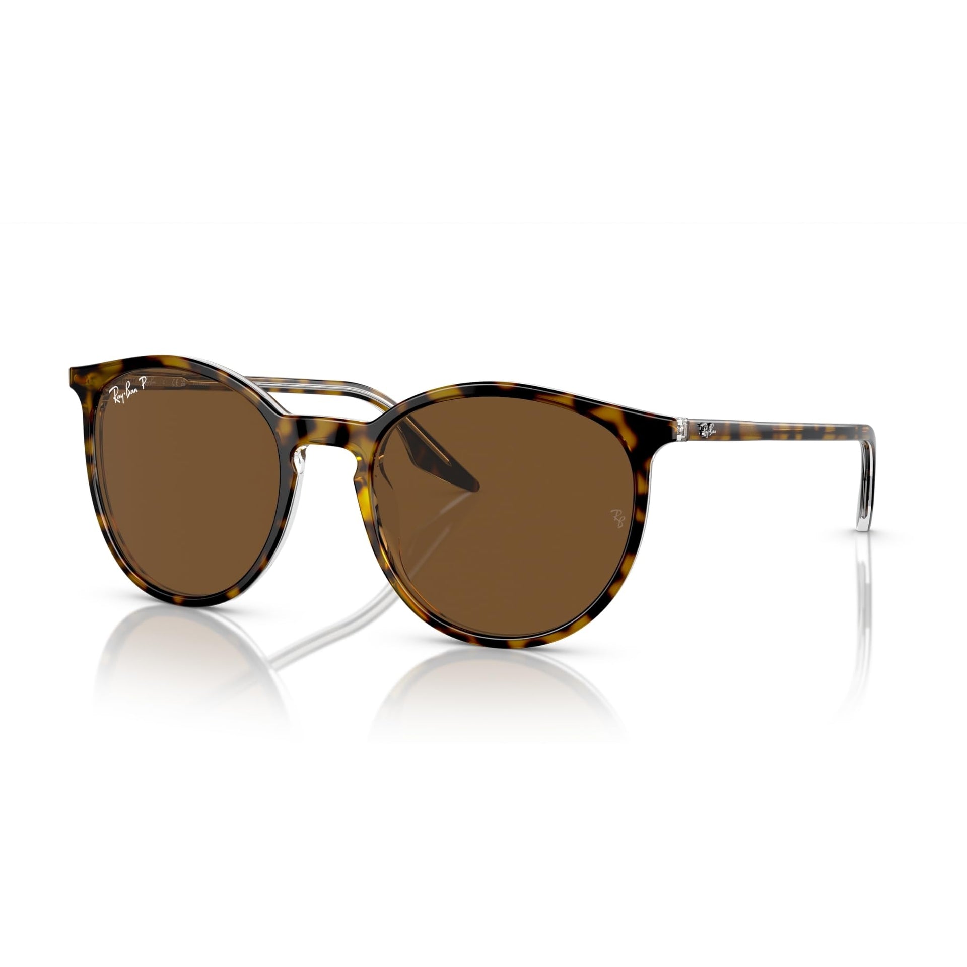 Ray-Ban Havana On RB2204 Sunglasses - Havana on Transparent / Brown / Small - 8056597936392