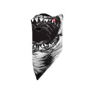 Jaws