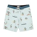 Salty Crew Pescador 40 Boardshorts