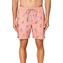 O'Neill Water Resistant Stretch Volley Swim Boardshorts