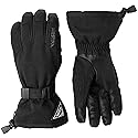 Hestra Powder Gauntlet Glove