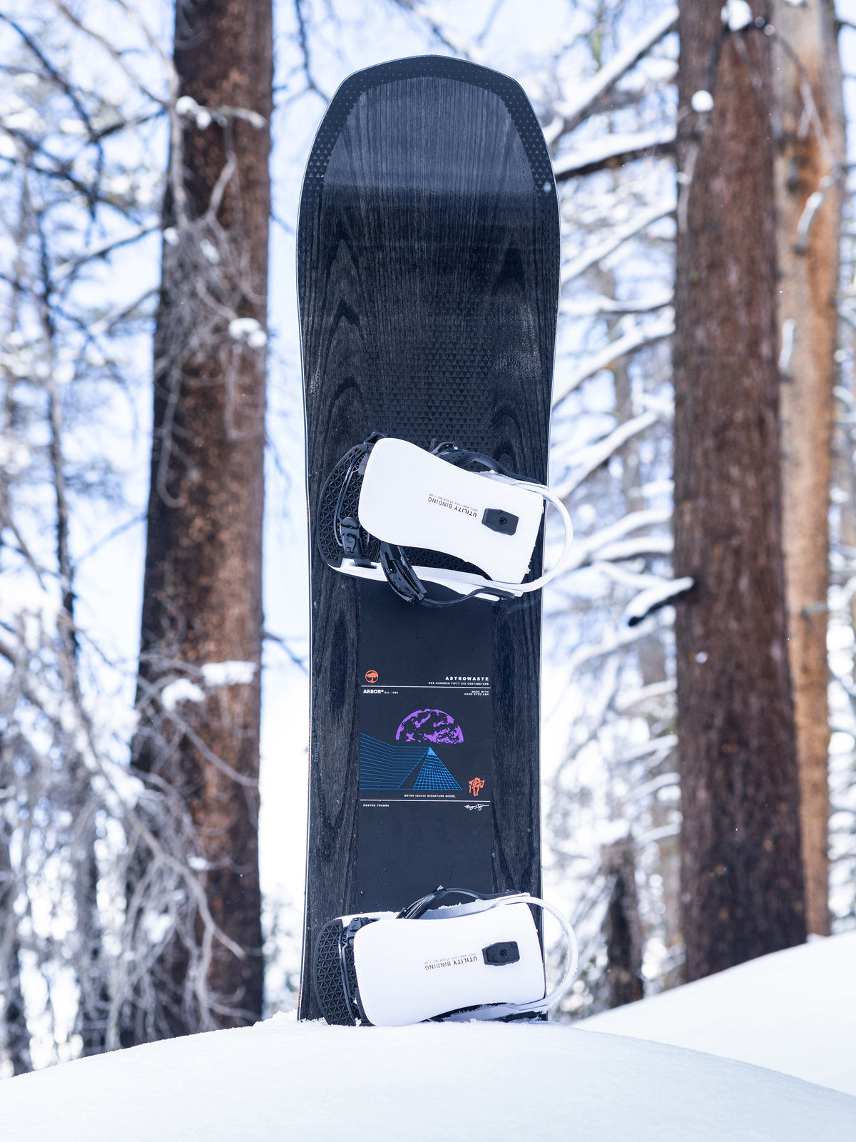 Arbor Astrowaste Snowboard — Astrowaste Snowboard