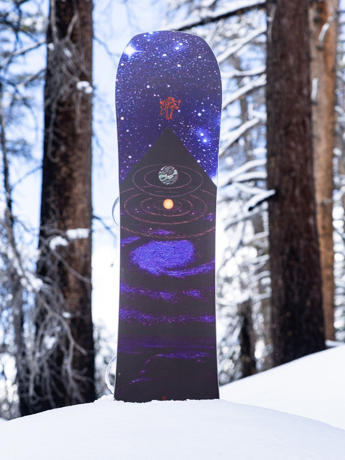 Arbor Astrowaste Snowboard — Astrowaste Snowboard