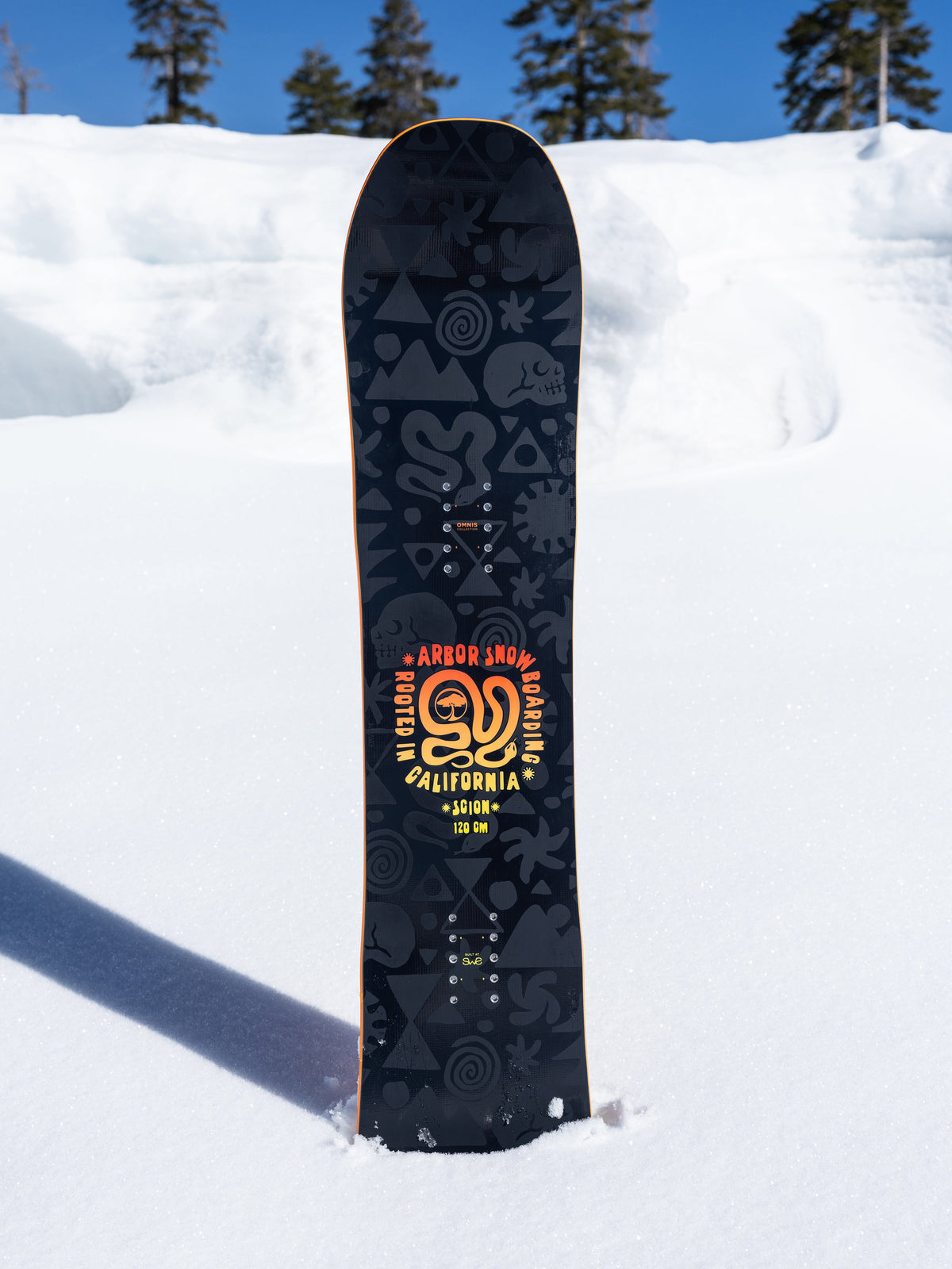 Arbor Scion Snowboard — Scion Snowboard