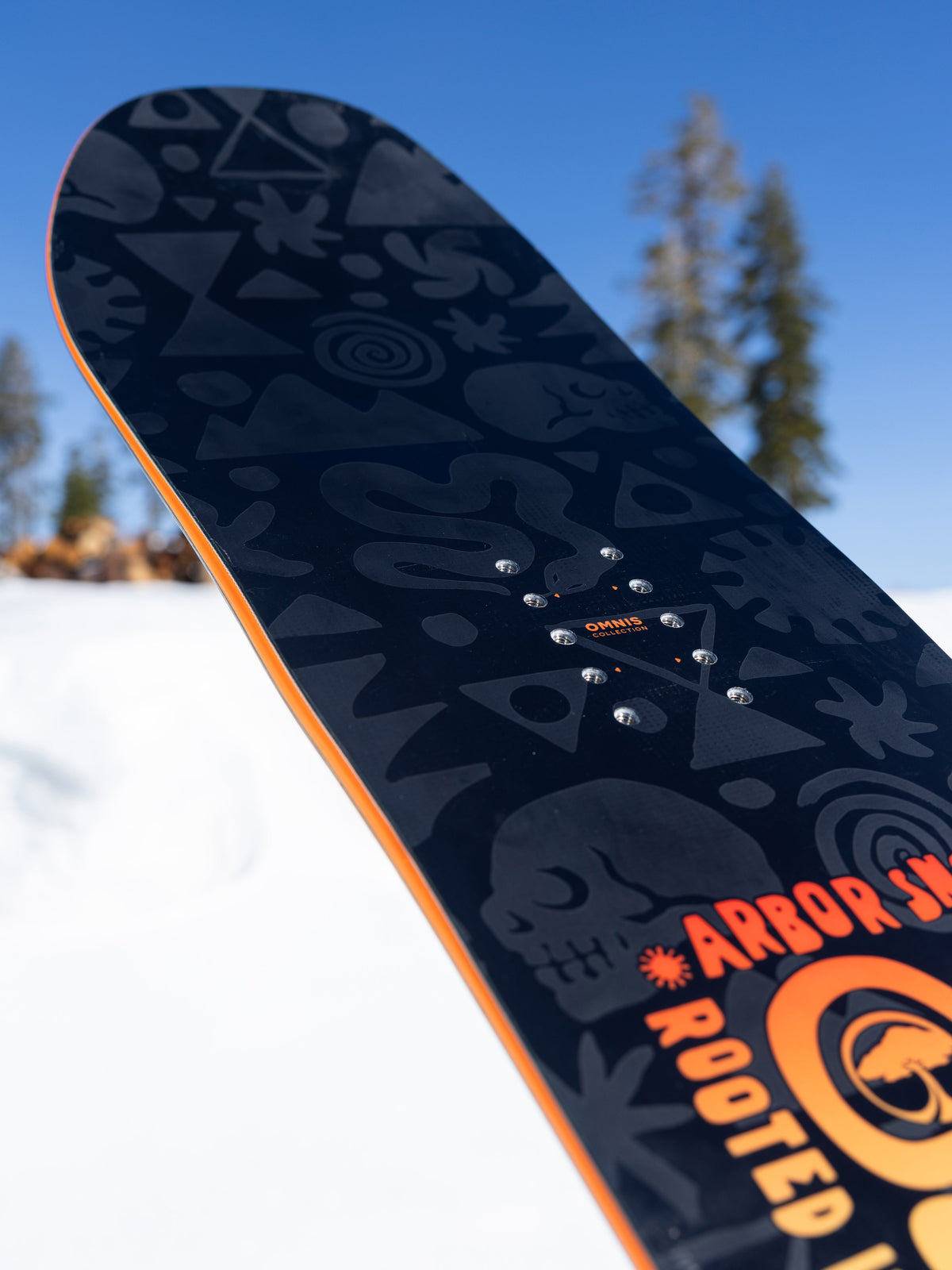 Arbor Scion Snowboard — Scion Snowboard