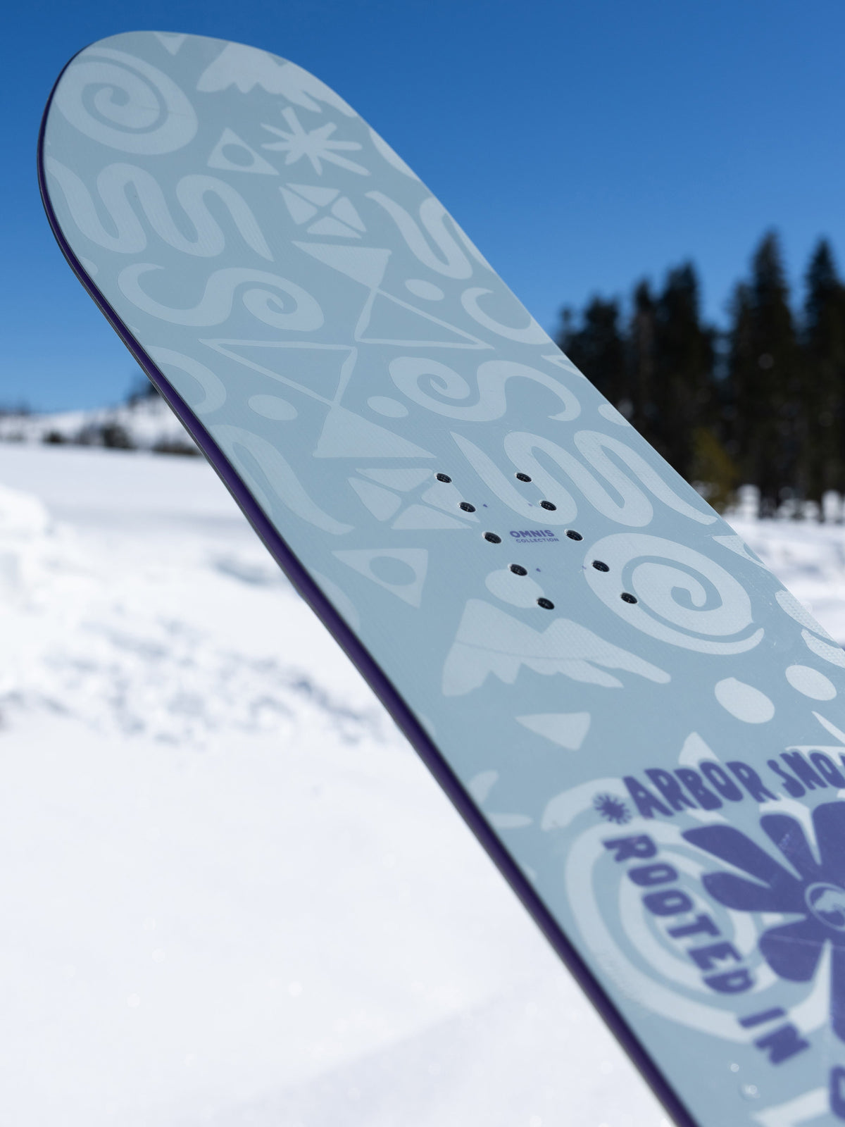Arbor Seedling Snowboard — Seedling Snowboard