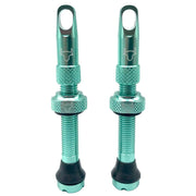 Turquoise cycling tubeless valve stems with textured grip and rubber base, 2-pack