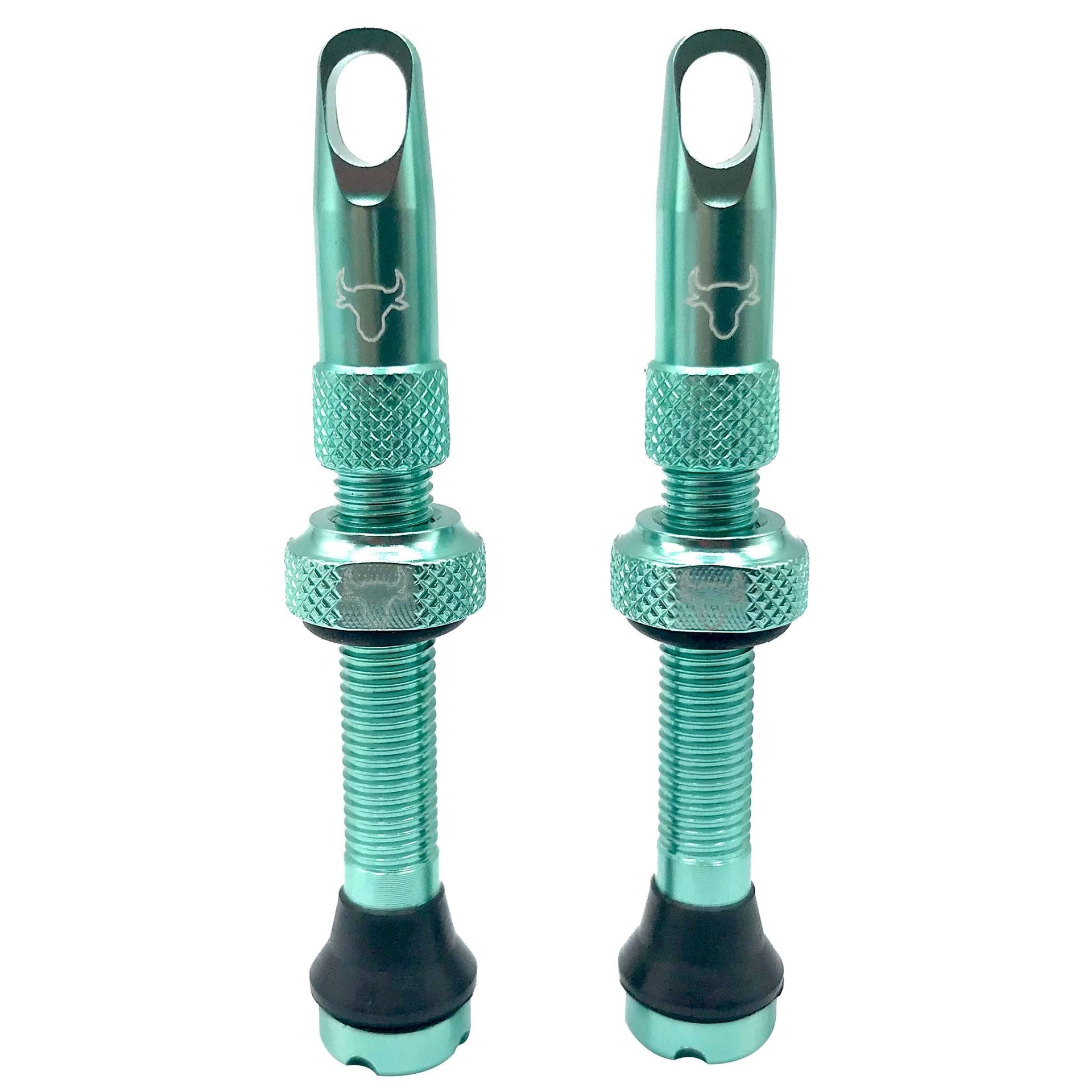 Turquoise cycling tubeless valve stems with textured grip and rubber base, 2-pack