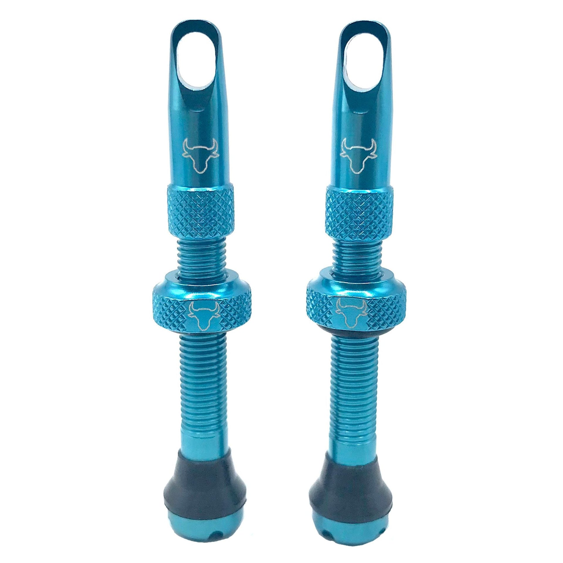 Blue cycling tubeless valve stems with textured grip and rubber base, 2-pack