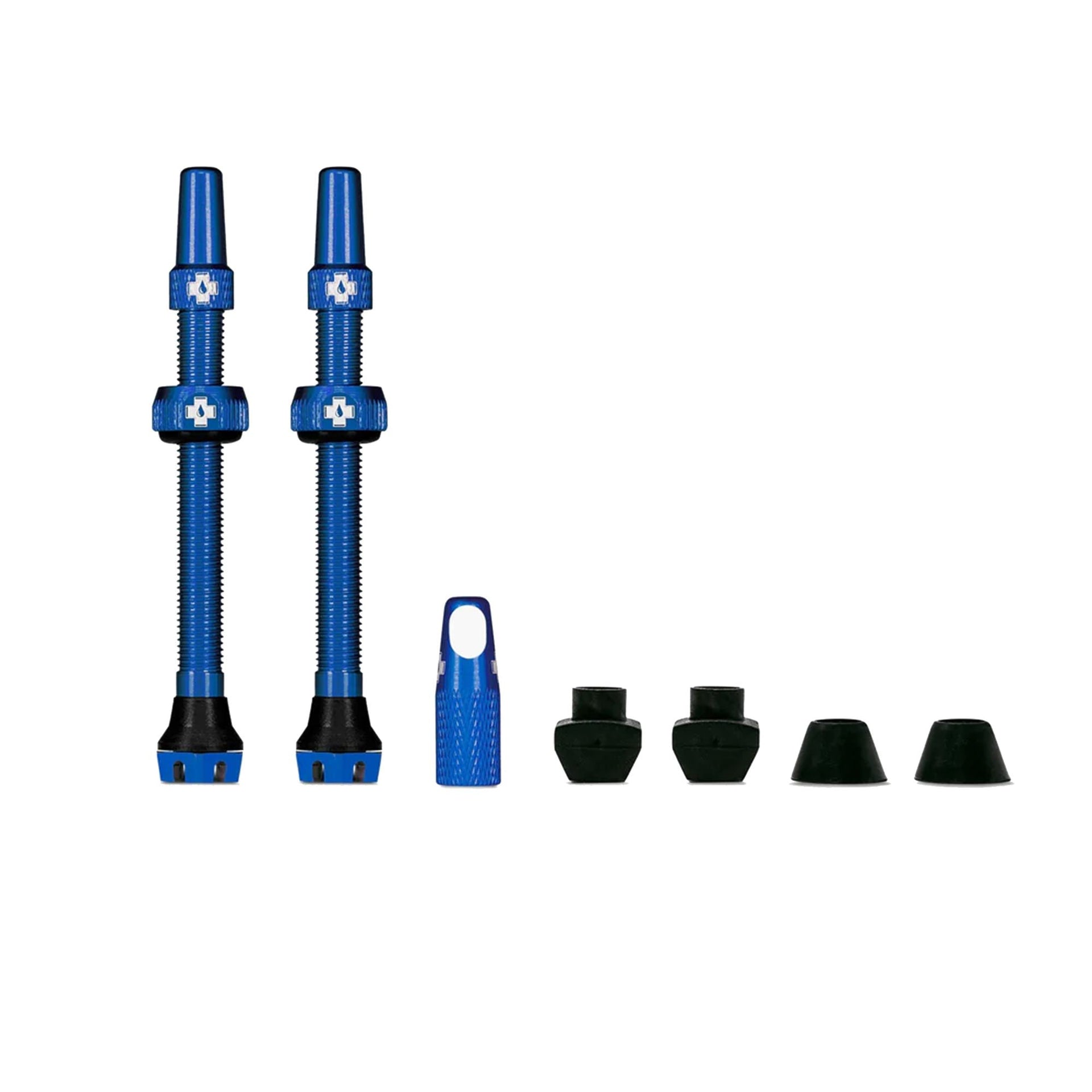 Presta valve stem set with blue stems and assorted cap covers