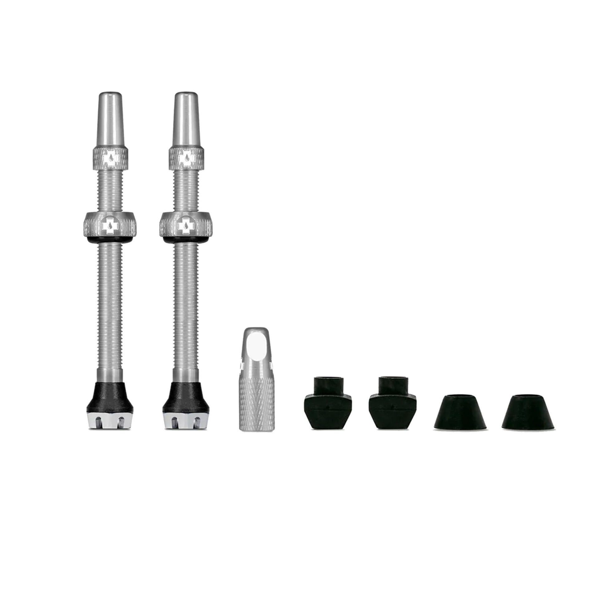 Presta valve stem set with silver stems and assorted cap covers