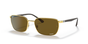 Gold/Polarized Brown