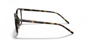 Tortoise eyeglass frames, side profile with curved temple and hinge