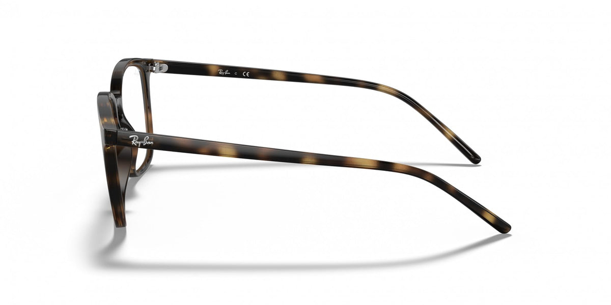 Tortoise eyeglass frames, side profile with curved temple and hinge