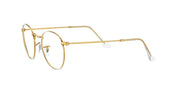 Gold-tone round metal prescription eyewear frames, side view with thin metal temples