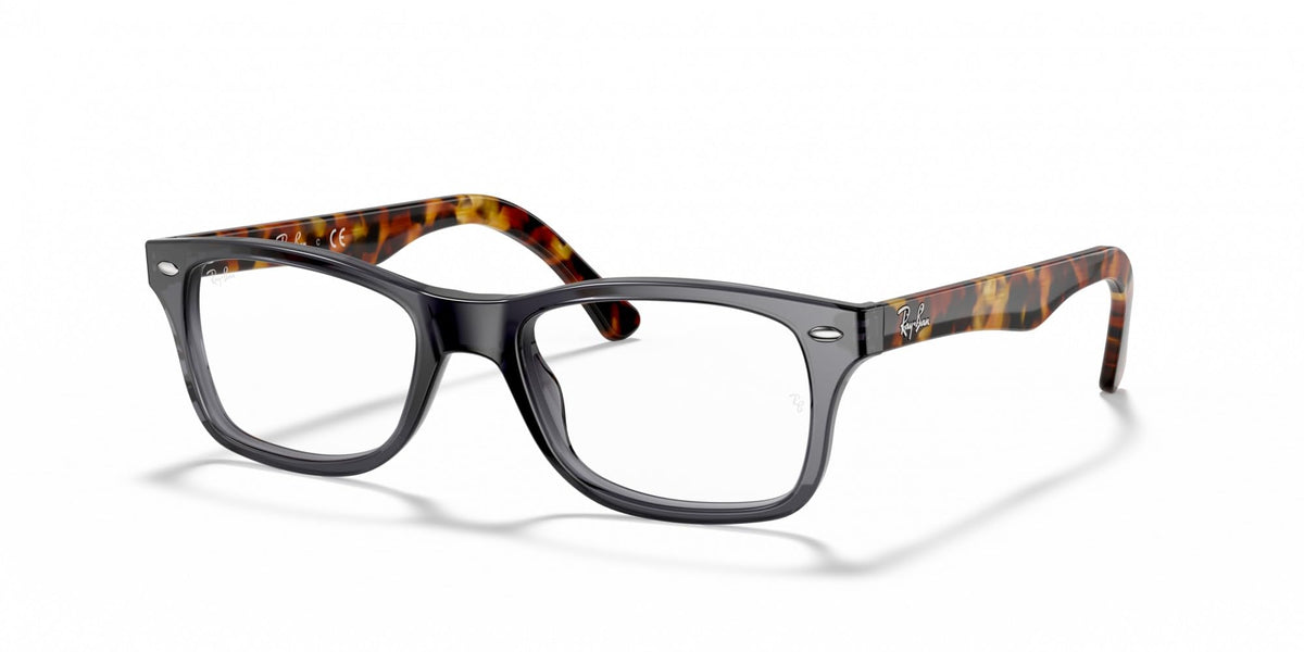 RX5228 prescription frames, tortoiseshell front with dark center and square lenses
