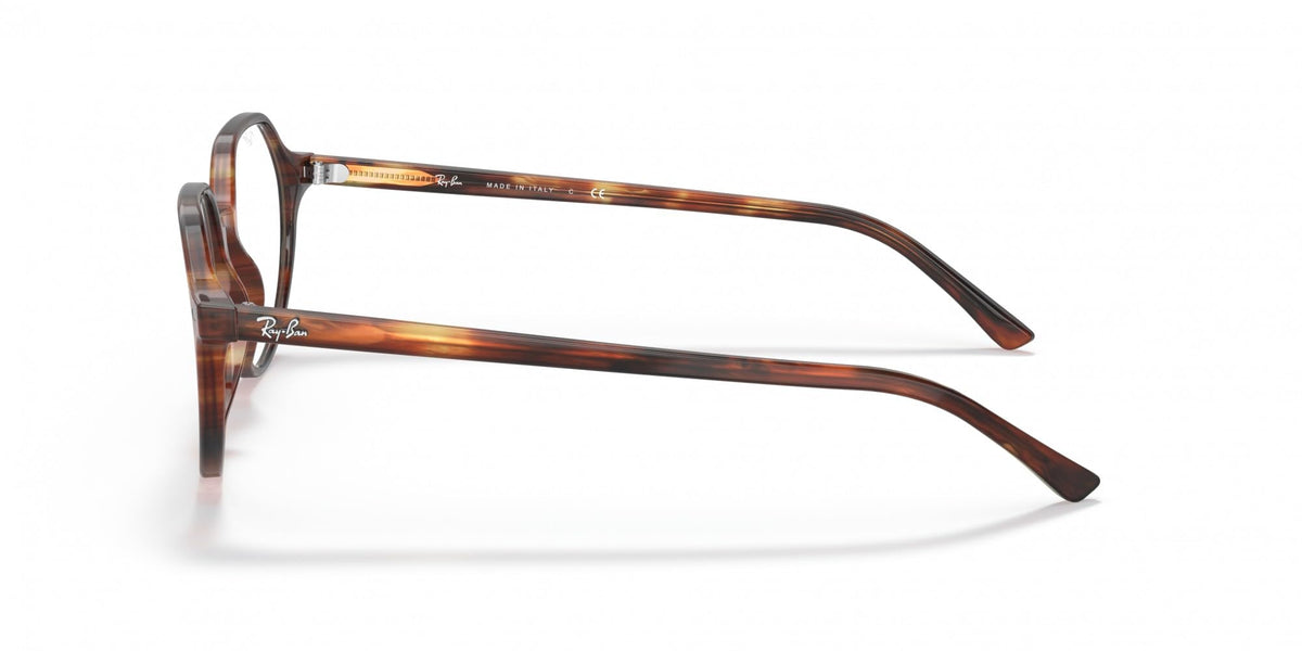 Ray-Ban prescription eyewear frames, side profile with tortoise-pattern temples