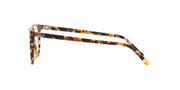 Tortoiseshell eyeglass frames in profile with clear lenses and curved temple tips