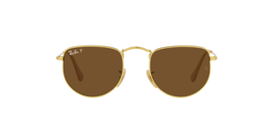 Legend Gold/Polarized Brown