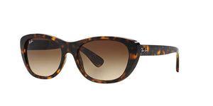 Light Havana/Brown Gradient Dark Brown