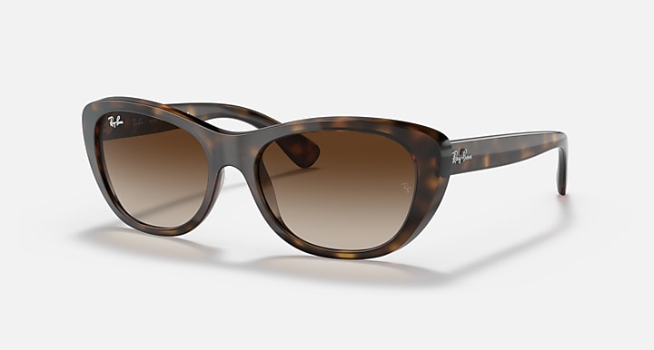 RB4227 sunglasses, dark tortoise frames and tinted brown lenses