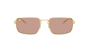Gold/Evolve Photochromic Brown