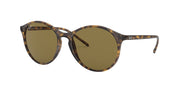 Ray-Ban round sunglasses with light Havana tortoise frames and dark brown lenses
