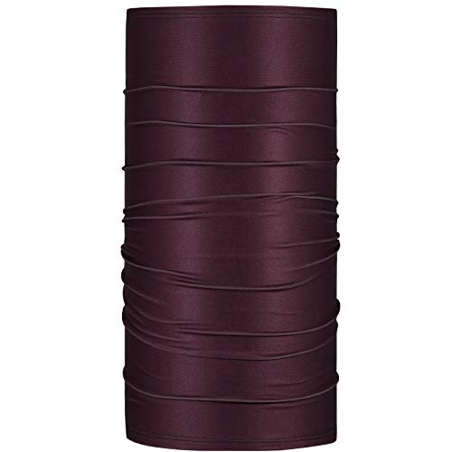 BlackStrap Therma Tube, Cold Weather Neck Gaiter and Warmer for Men and Women for Extra Warmth, Maroon