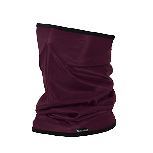 BLACKSTRAP Apex Tube - Merlot/One Size