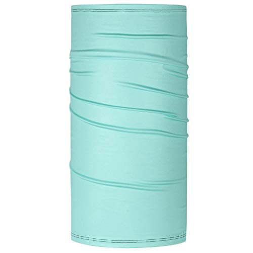 BLACKSTRAP Therma Tube Neck Gaiter (Mint, One Size)