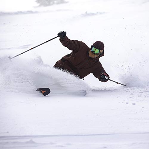 BLACKSTRAP The Tube, Dual Layer Cold Weather Neck Gaiter and Warmer for Men and Women