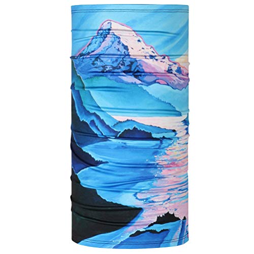 BLACKSTRAP Therma Tube Neck Gaiter (Christina McKeown-Gorge, One Size)