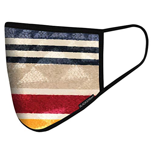 BLACKSTRAP civil face mask with multicolor stripe print and black trim, curved ear loop