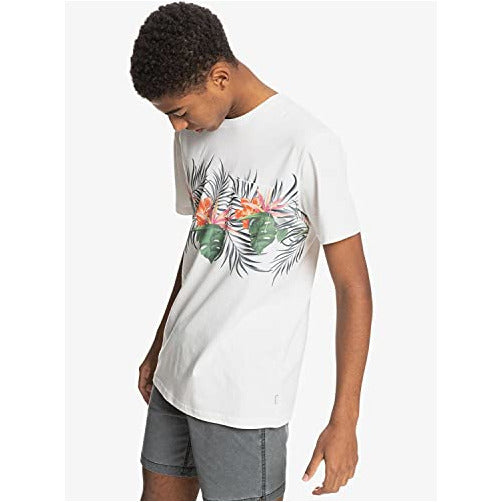 Quiksilver Men's Paradise Express Tee