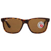 Ray Ban RB4181 Highstreet Sunglasses - 710/83 Tortoise (Polarized Brown Classic B-15XLT Lens) - 57mm